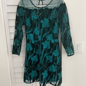 Anthropologie Eva Franco velvet dress
